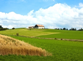 Mutuo agrario ipotecario - STUDIO GIANNINI 